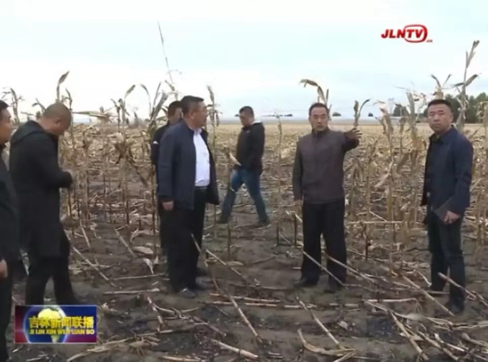 相关政府部门进行调查 相关政府部门进行调查