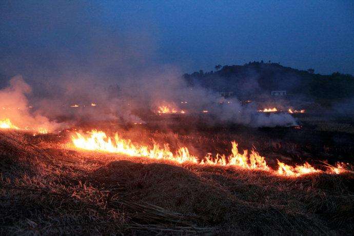 农民晚上偷偷焚烧秸秆