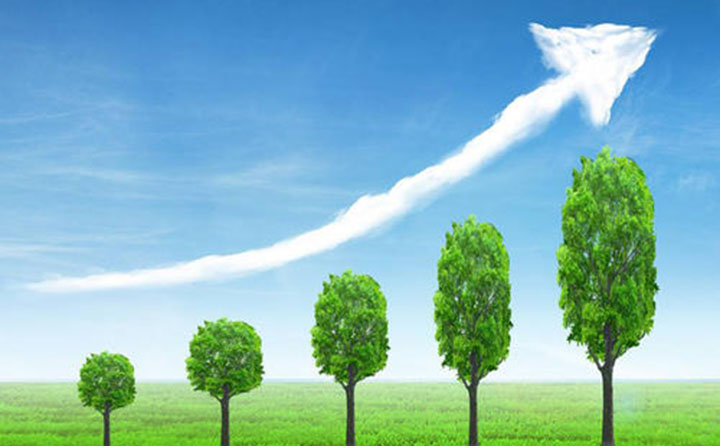 分阶段目标 分阶段目标