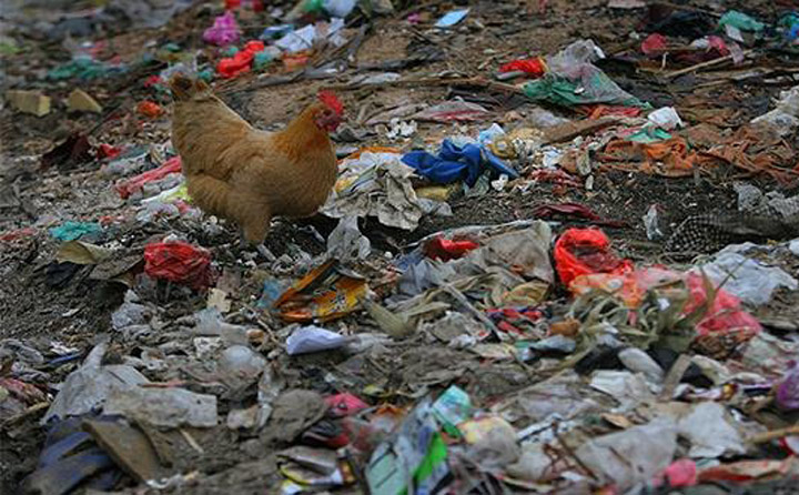 垃圾随处乱放，环境脏乱差