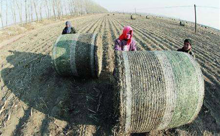 秸秆打捆回收 秸秆打捆回收