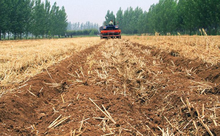 秸秆取于农村，用于农村