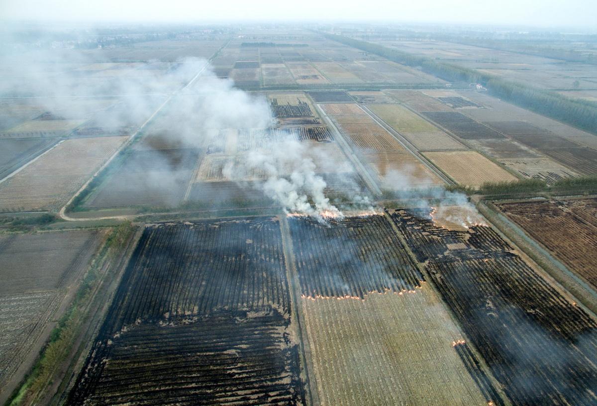 秸秆被大面积焚烧