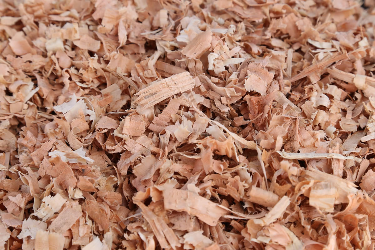 废弃物资源丰富