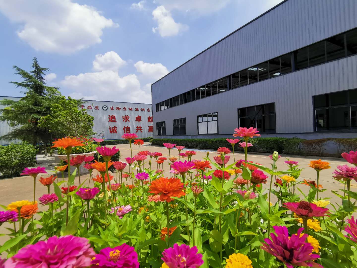 生物质颗?；Ъ? width=