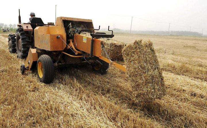 生物质资源进行有效开发利用