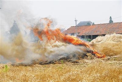 秸秆焚烧屡禁不止