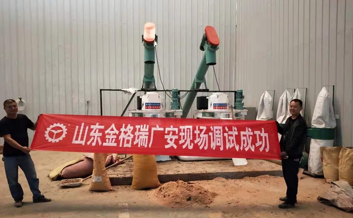 四川广安生物质颗?；殖〉魇猿晒?jpg