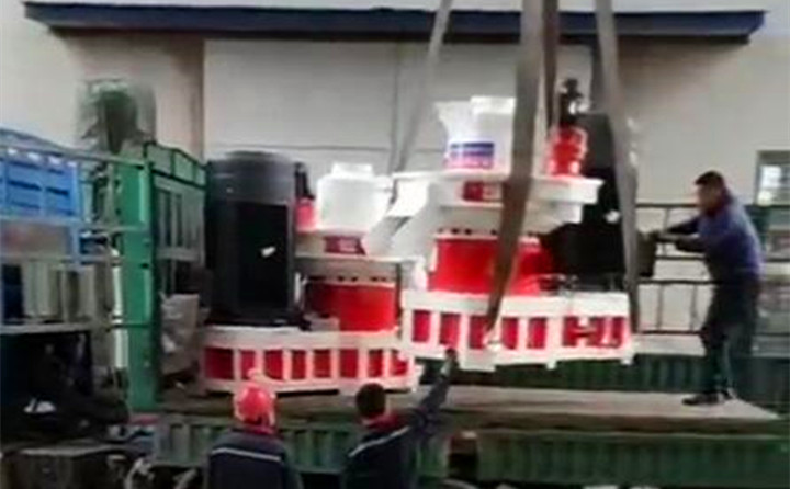 山东临沂木屑颗?；⒒?jpg