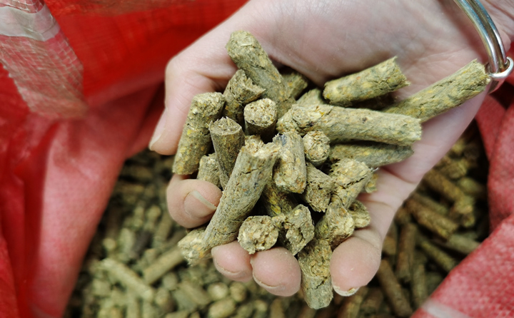 环保能源---生物质颗粒.jpg 环保能源---生物质颗粒.jpg