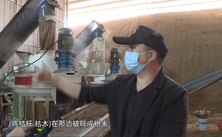 将桔杆、枯木在那边破碎成粉末，然后经过这两个造?；哪胙?，形成这种颗粒燃料出来，形成最后的产品.jpg