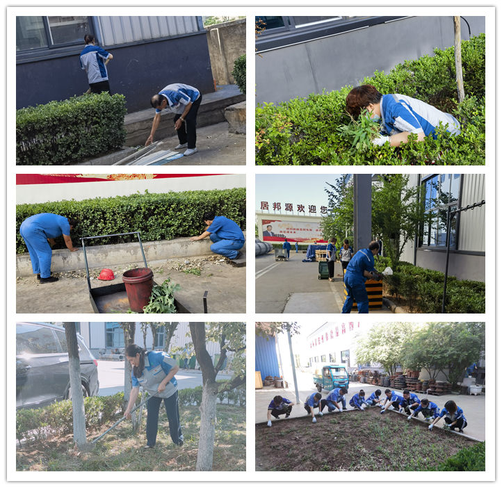 大家清扫、拾捡绿化带垃圾，清理路边缝隙死角内的烟头和杂物.jpg