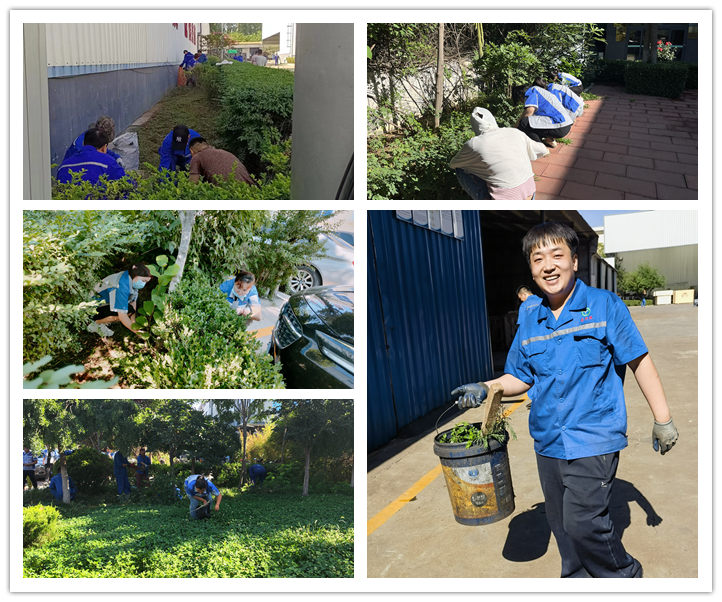 大家清扫、拾捡绿化带垃圾，清理路边缝隙死角内的烟头和杂物.jpg