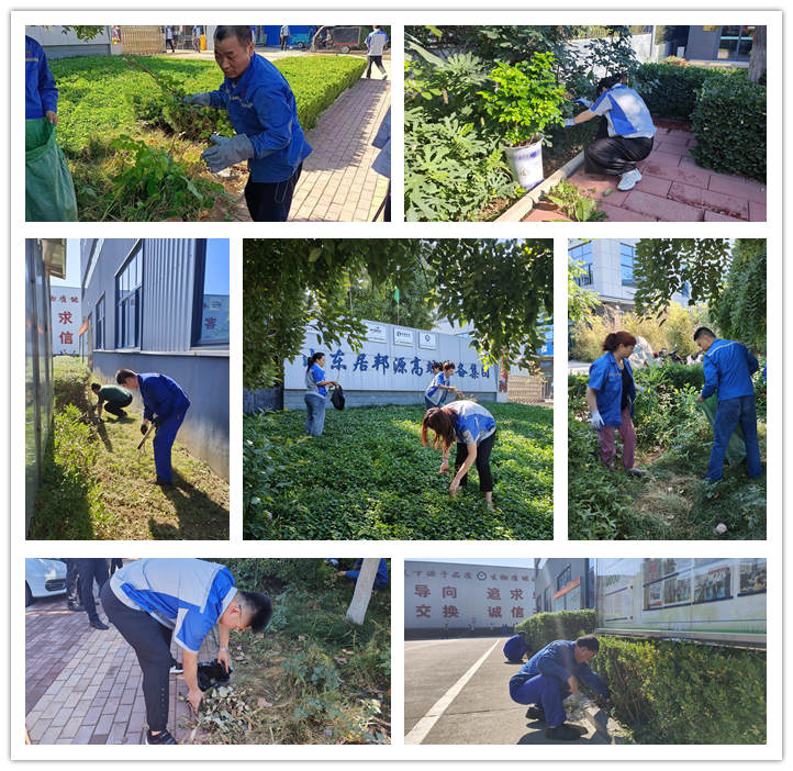 大家清扫、拾捡绿化带垃圾，清理路边缝隙死角内的烟头和杂物.jpg