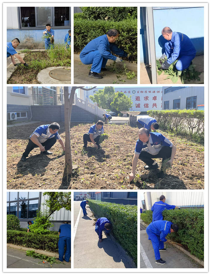 大家清扫、拾捡绿化带垃圾，清理路边缝隙死角内的烟头和杂物.jpg